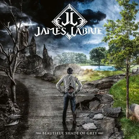 Beautiful Shade of Grey cover